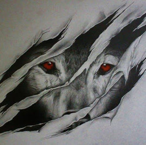 Meet your Posher, Boston